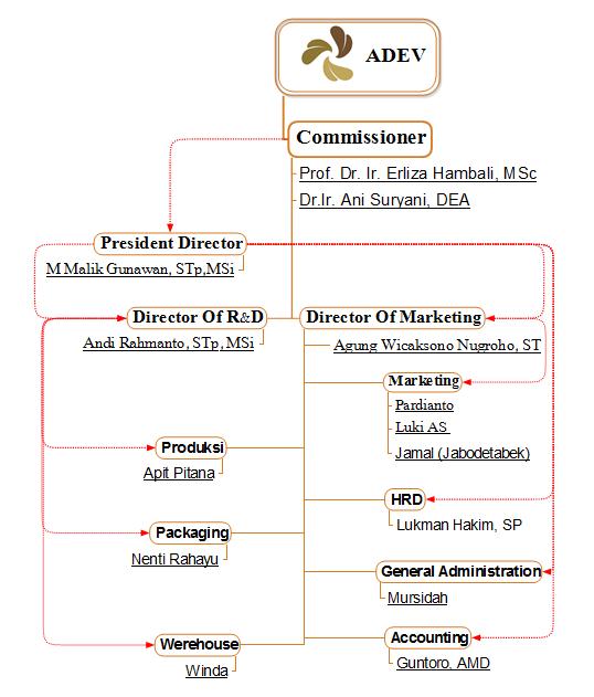 Struktur Organisasi Perusahaan PT. Adev Natural Indonesia 