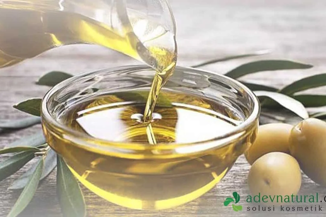minyak zaitun