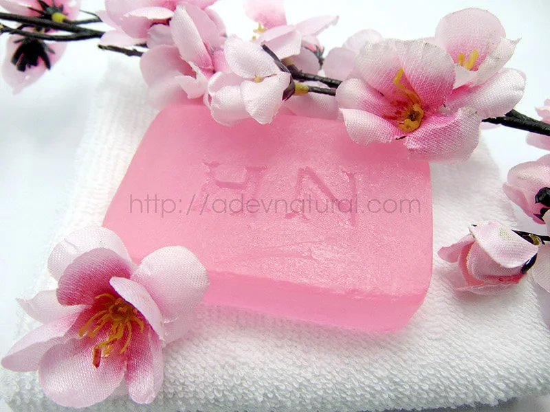 Jasa Maklon Sabun HN Series