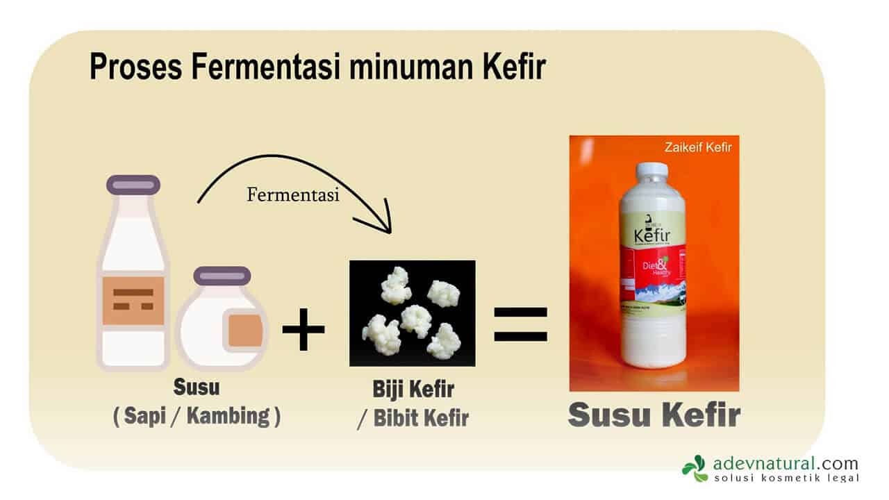 Produk Sabun Kefir Asli dari Susu Kambing Etawa & VCO +Manfaat