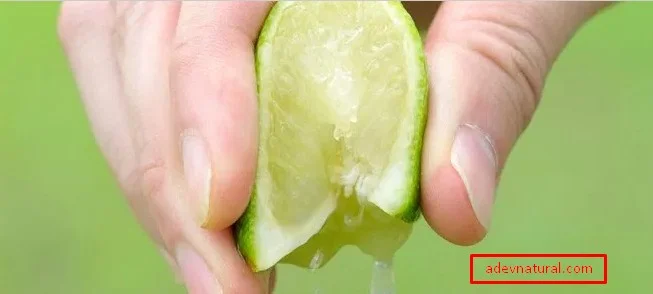 Cara Menghilangkan Jerawat dengan Jeruk Nipis Secara Alami