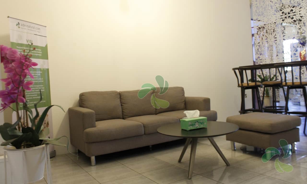 ruang tamu adevnatural kantor atas